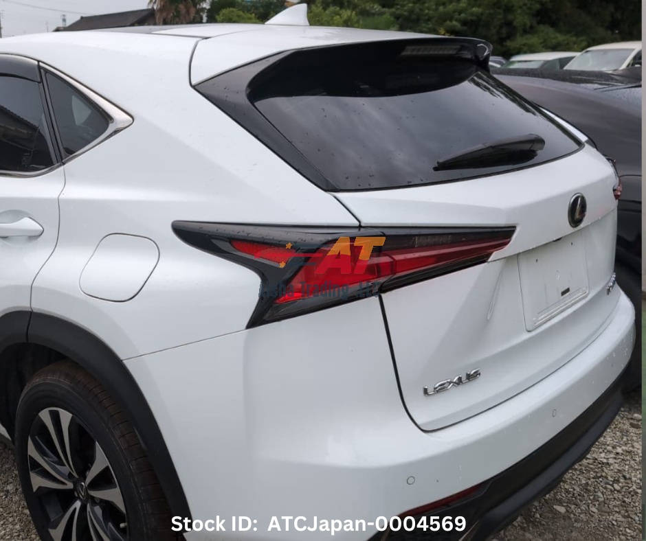 2018 Lexus NX300H